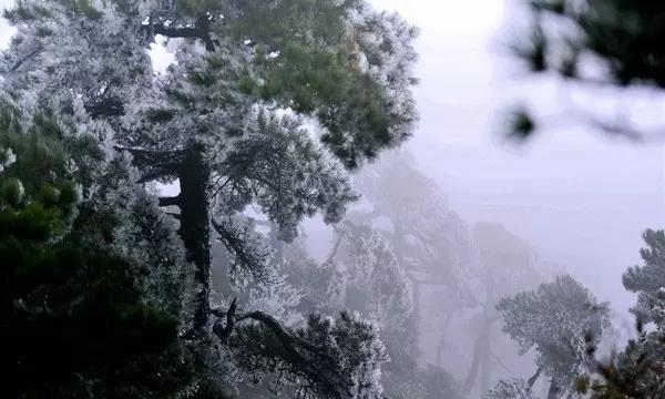 泡弹学院