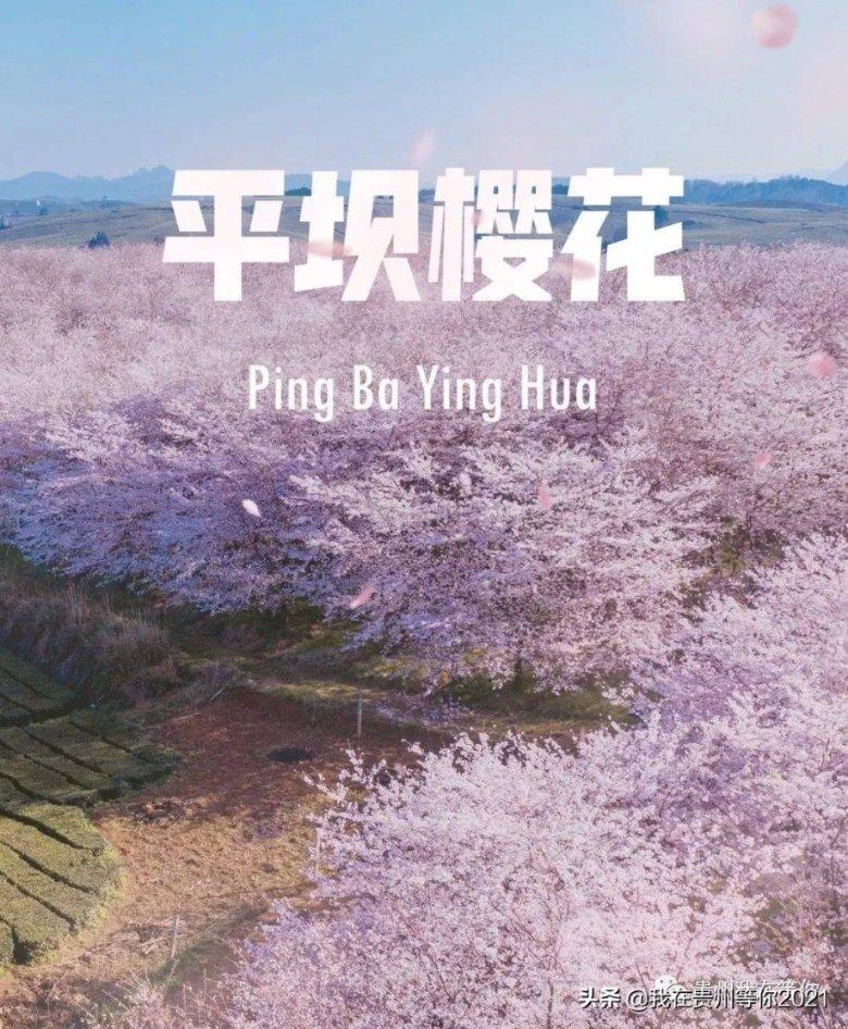 白沟新城公安分局一辅警因公殉职年仅39岁，肇事司机需承担什么法律责任？
