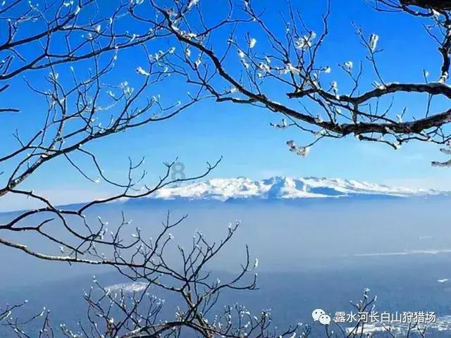 深度学习星球-睡眠有点问题?|专注知识共享与交流