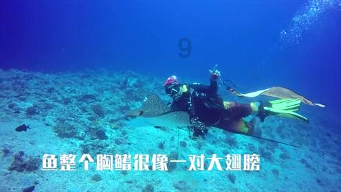 狂战小子