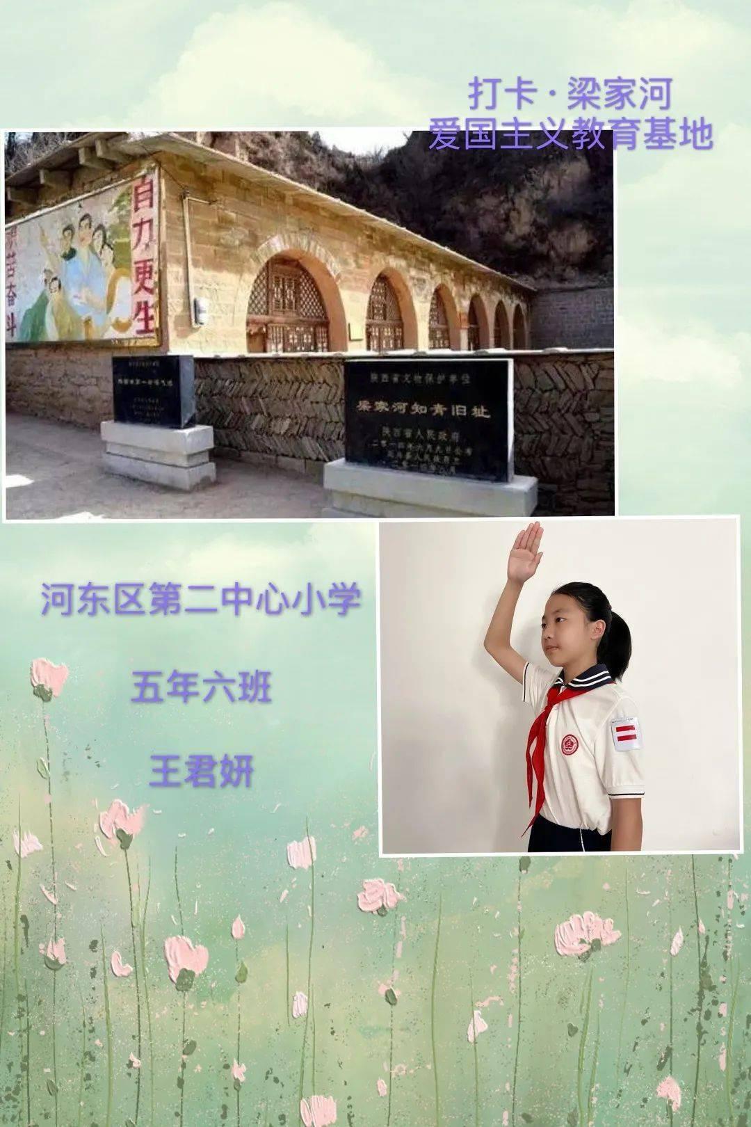 十大适合家养的狗不掉毛游戏画面
