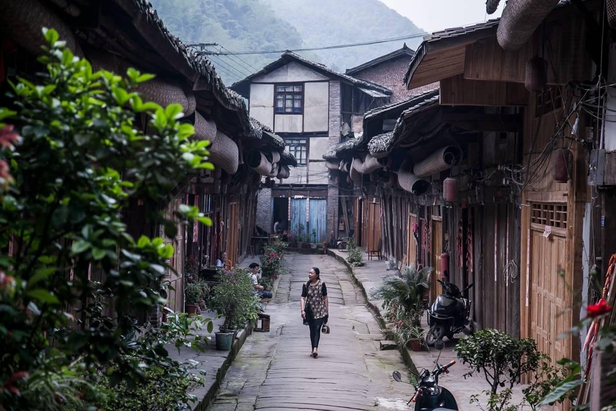 两会声音 | 王福明、张爱民委员：加强地理标志品牌化建设，助推县域经济高质量发展